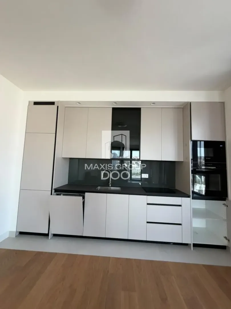 Modern kitchen with built-in cabinetry and appliances.