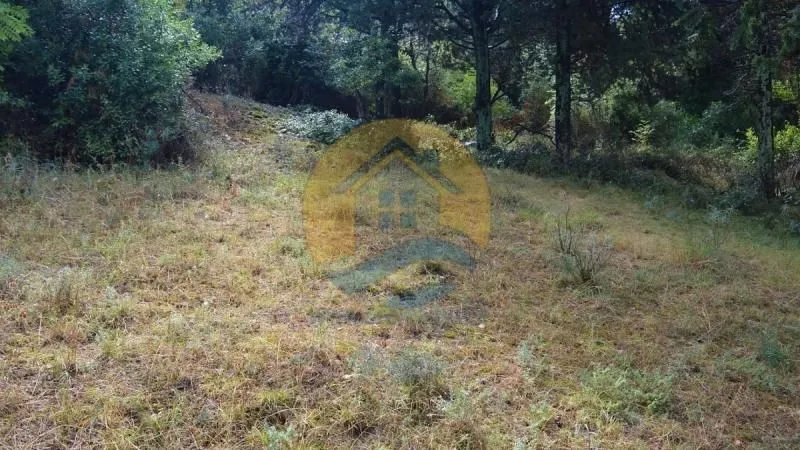 Prodaja, plac, 1200m², Dobrota, Kotor