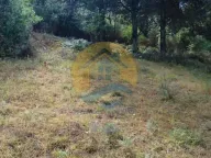 Sale, land lot, 1200m², Dobrota, Kotor - image 6