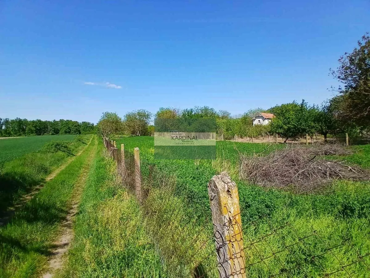 Prodaja, plac, 1932m², Vinorača, Jagodina