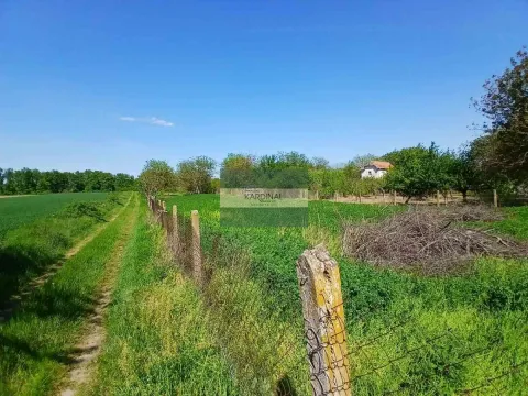 Sale, land lot, 1932m², Vinorača, Jagodina - image 4