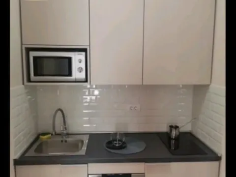 Izdavanje, jednosoban stan, 27m², Stari Grad, Beograd - image 4