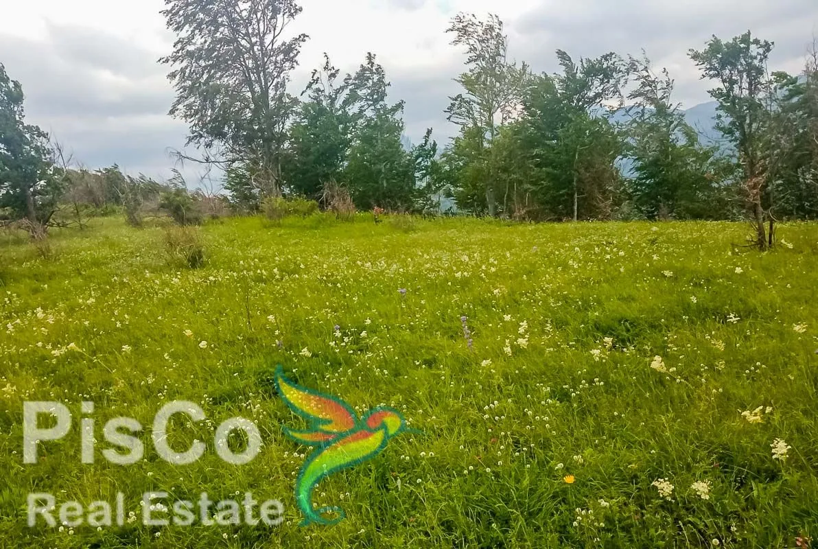 Prodaja, plac, 220000m², Kolašin, Crna Gora