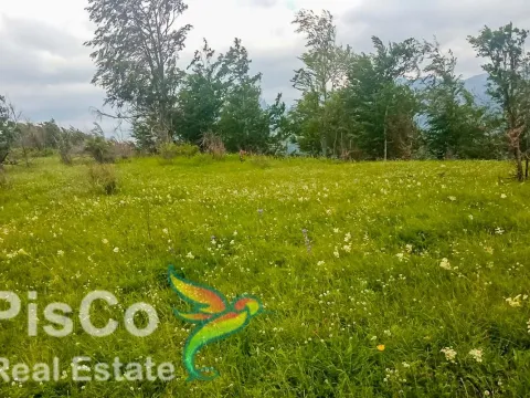 Sale, land lot, 220000m², Kolašin, Crna Gora - image 2