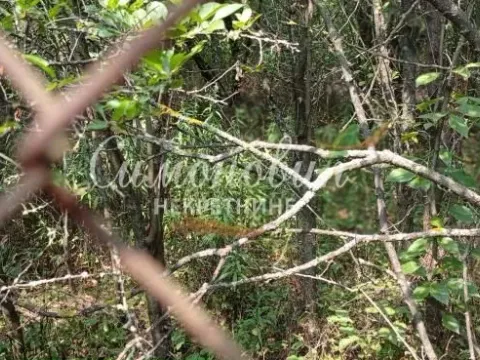 Prodaja, plac, 850m², Surčin, Beograd - image 6