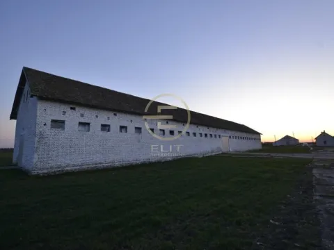 Prodaja, plac, 980m², Vrbas, Novi Sad - image 24