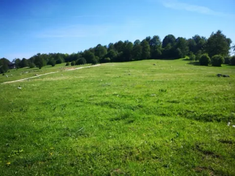 Prodaja, plac, 11500m², Pošćenski Kraj, Žabljak - image 4