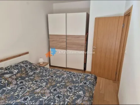 Rent, two bedroom apartment, 50m², Južni Bulevar, Vračar Sve Podlokacije - image 7