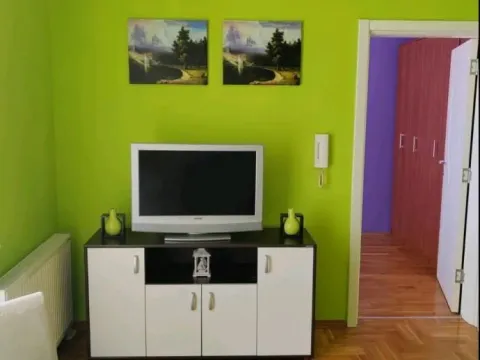Rent, one bedroom apartment, 36m², Adamovićevo Naselje, Novi Sad Sve Podlokacije - image 3