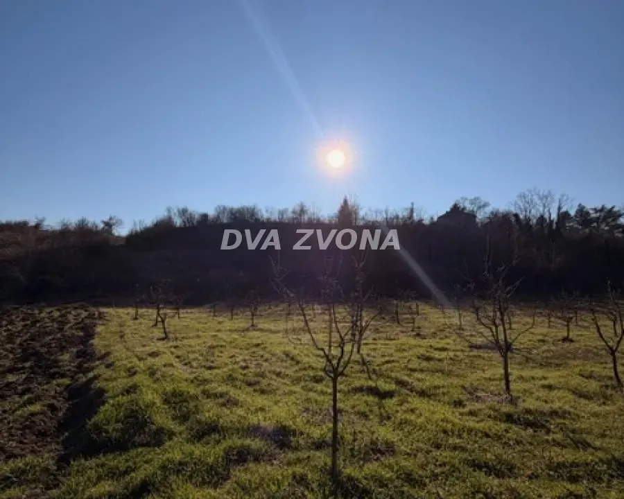 Prodaja, plac, 8400m², Čortanovci, Inđija