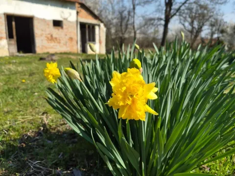 Prodaja, trosoban stan, 128m², Virovac, Mionica - image 5