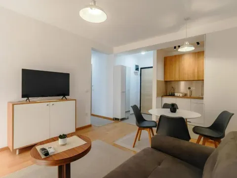 Izdavanje, jednosoban stan, 45m², Budva, Crna Gora - image 3