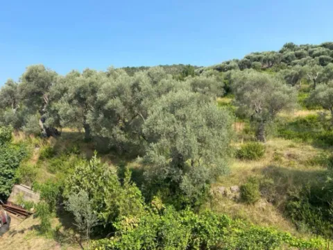 Sale, house, 216m², Stari Bar, Bar - image 3