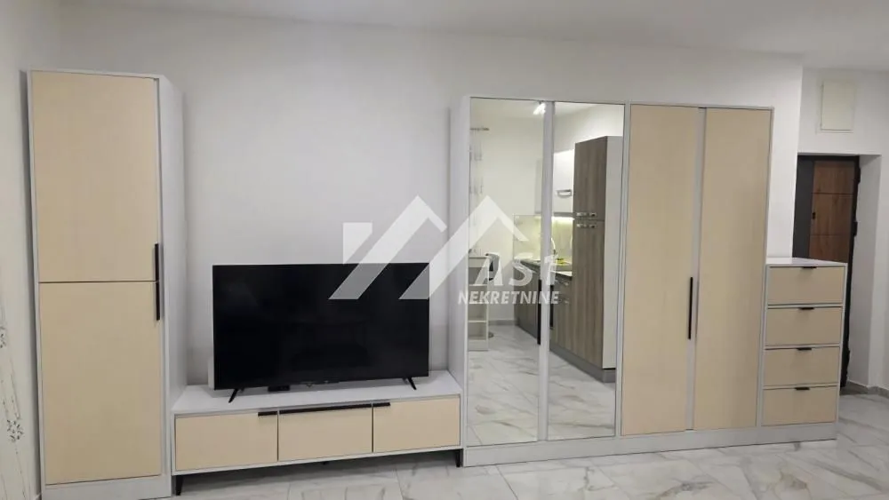 Izdavanje, jednosoban stan, 35m², Veternik, Novi Sad Sve Podlokacije