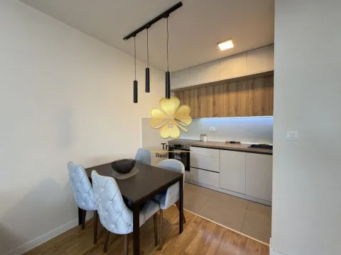 Izdavanje, jednosoban stan, 45m², Pobrežje, Podgorica - image 3
