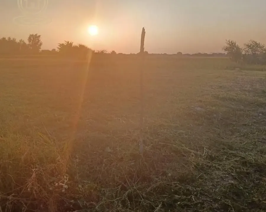 Sale, land lot, 500m², Veternik, Novi Sad Sve Podlokacije