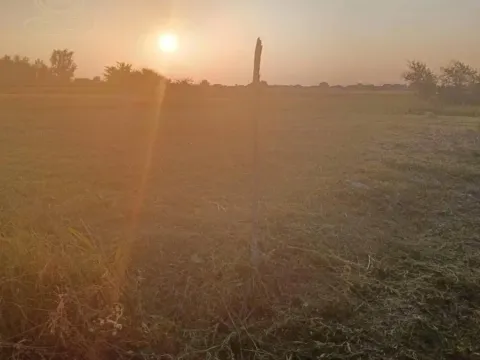 Sale, land lot, 5m², Veternik, Novi Sad Sve Podlokacije