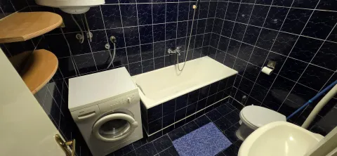 Manje kupatilo sa kadom, veš mašinom i tamnim pločicama. - image 10