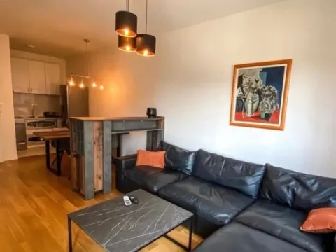 Izdavanje, jednosoban stan, 47m², Central Point, Podgorica - image 2