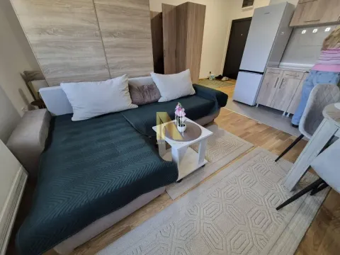 Izdavanje, garsonjera, 32m², Veternik, Novi Sad Sve Podlokacije - image 3
