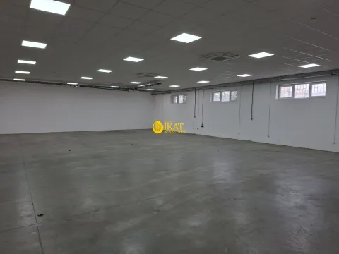 Izdavanje, poslovni prostor, 650m², Altina, Beograd - image 2