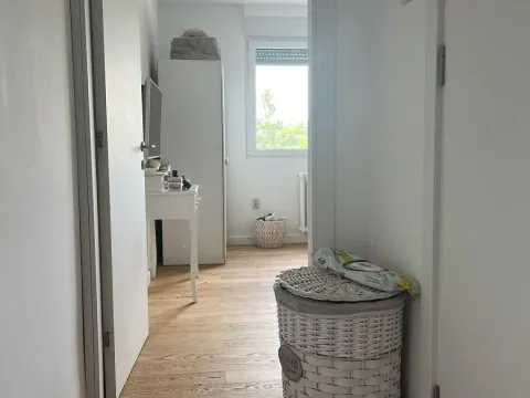 Prodaja, dvosoban stan, 65m², Zemun Sve Podlokacije, Beograd - image 4