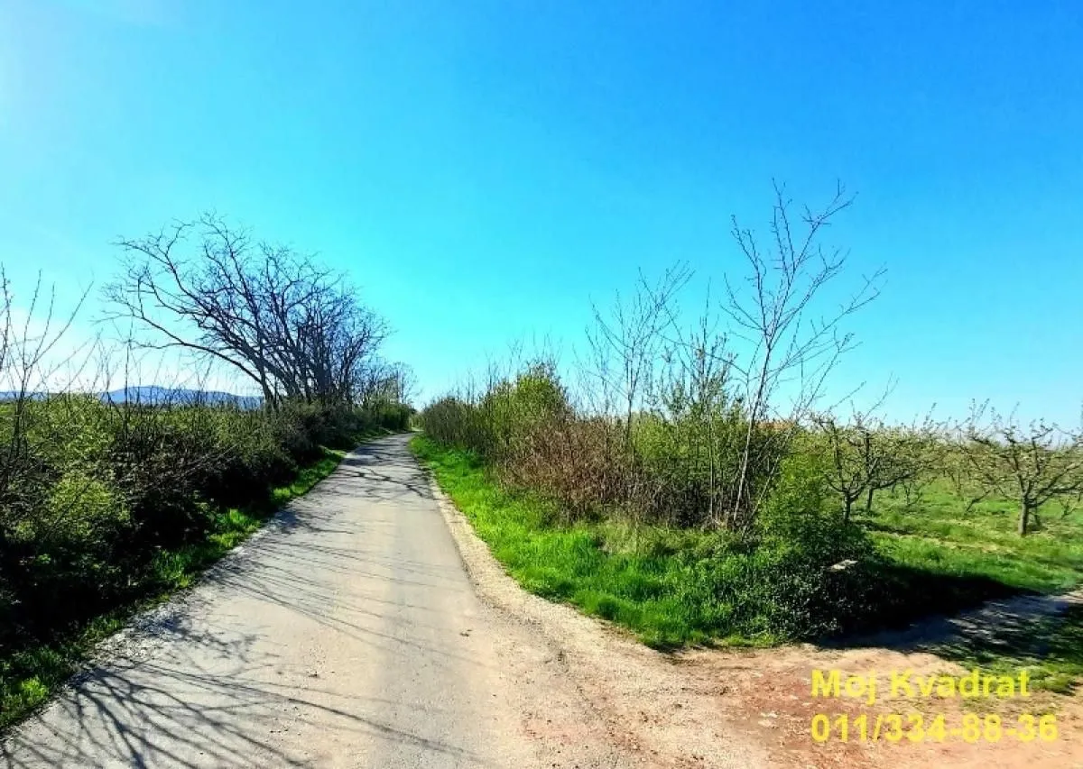 Prodaja, plac, 237m², Mladenovac, Beograd