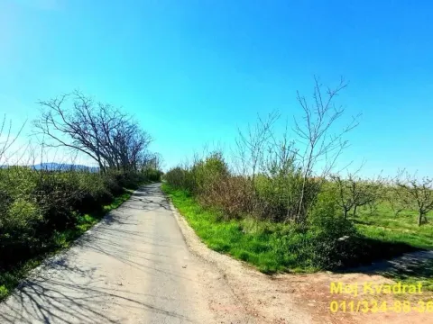 Prodaja, plac, 237m², Mladenovac, Beograd - image 4