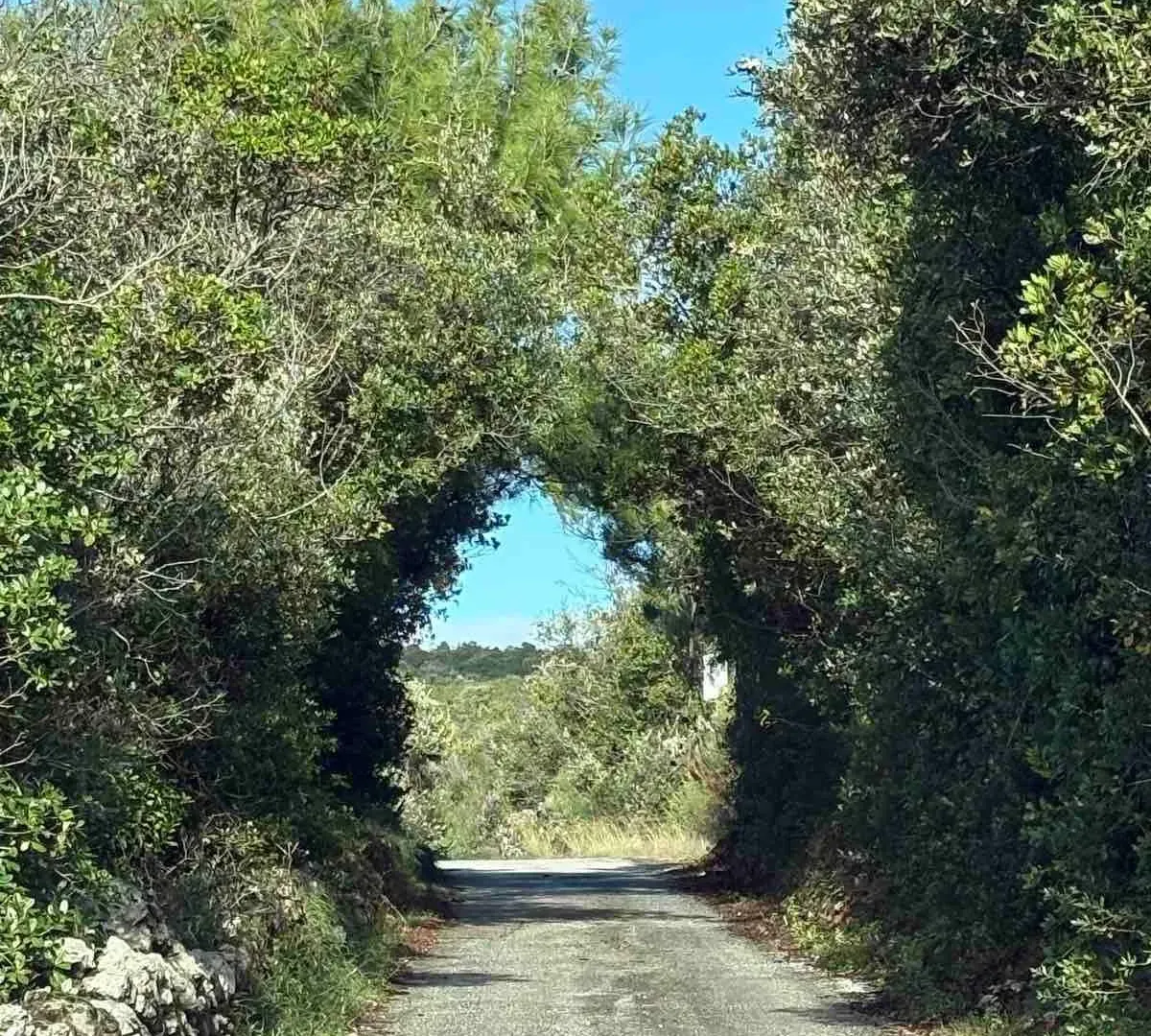 Prodaja, petosoban stan, 138m², Zagora, Kotor