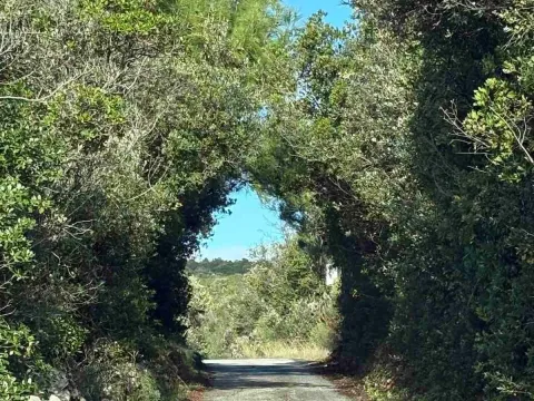 Prodaja, petosoban stan, 138m², Zagora, Kotor - image 5