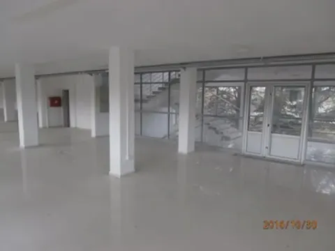 Izdavanje, poslovni prostor, 740m², Krnjaca, Palilula Sve Podlokacije - image 3