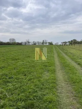 Pogled na prostrano zeleno zemljište sa travnjakom i niskim rastinjem. - image 3