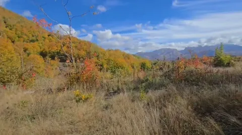 Pogled na prirodni pejzaž sa šumom i brdima. - image 3