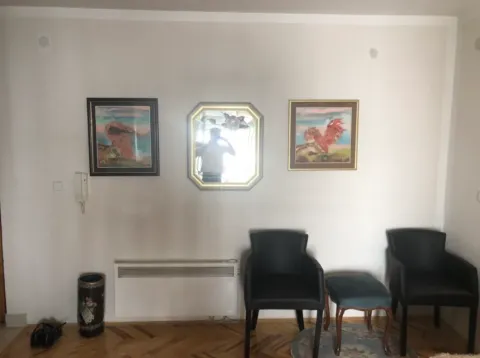 Dnevni boravak sa foteljama, slikama na zidu i parketom na podu. - image 8