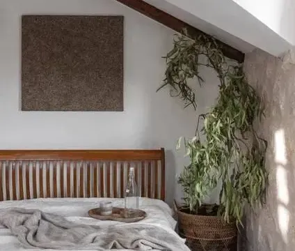 Rent, house, 450m², Pobori, Budva - image 6