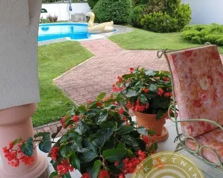 Sale, house, 420m², Kać, Novi Sad Sve Podlokacije - image 2