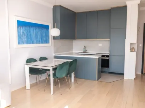 Izdavanje, jednosoban stan, 47m², Centar, Podgorica - image 2