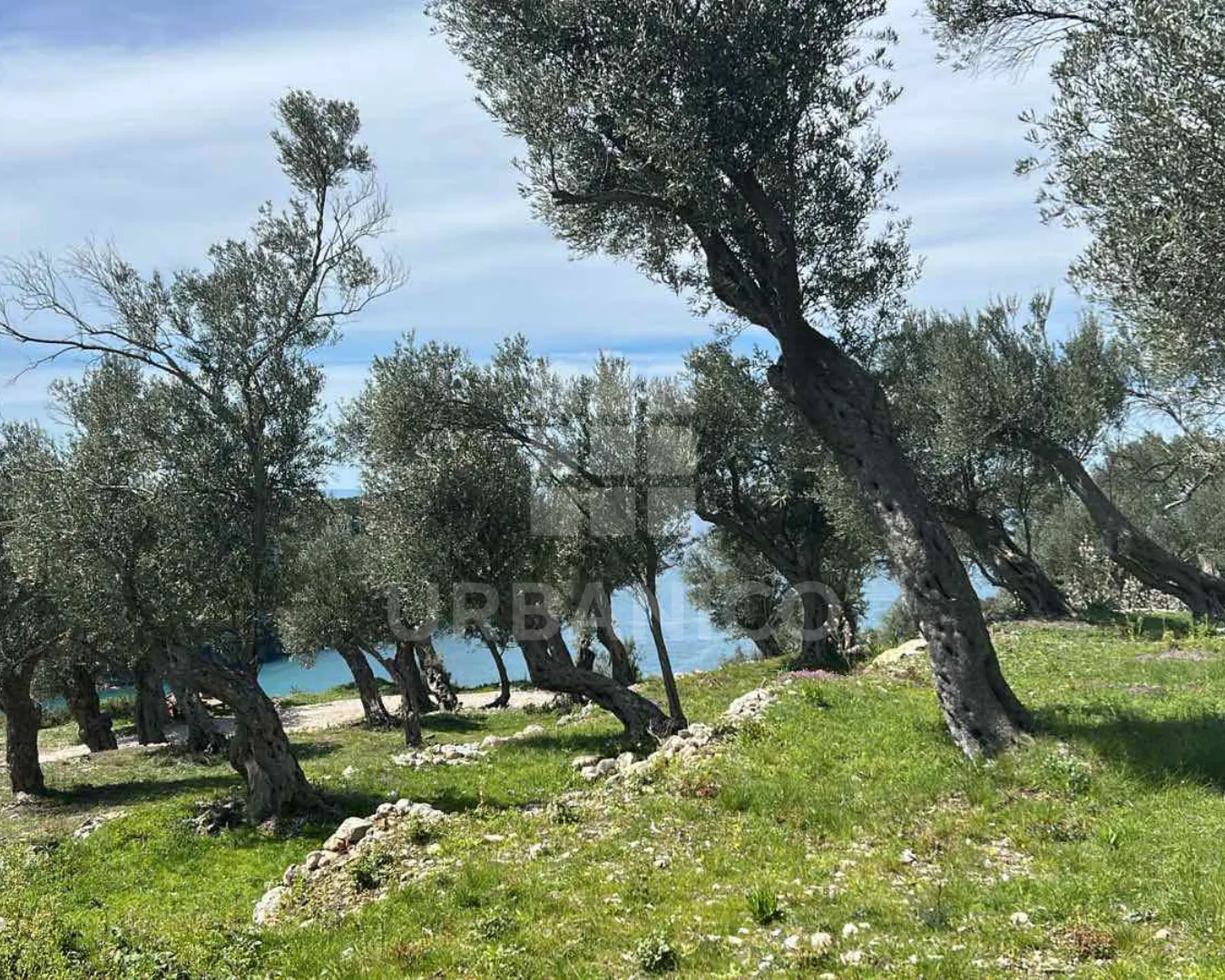 Prodaja, plac, 2000m², Bratica, Ulcinj