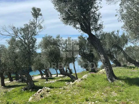 Prodaja, plac, 2000m², Bratica, Ulcinj - image 2