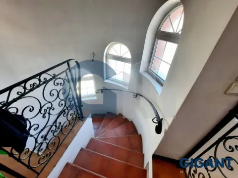 Sale, house, 355m², Surčin (mesto), Surčin - image 13