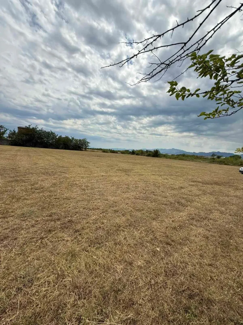 Prodaja, plac, 4929m², Golubovci, Podgorica
