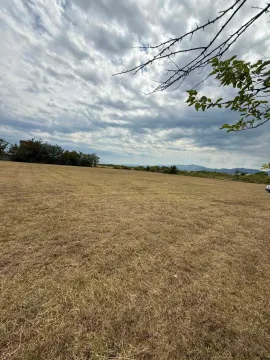 Prodaja, plac, 4929m², Golubovci, Podgorica - image 2