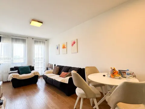 Prodaja, jednosoban stan, 45m², Tološka šuma, Podgorica - image 2