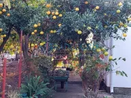 Prodaja, kuća, 80m², Bar, Crna Gora - image 5