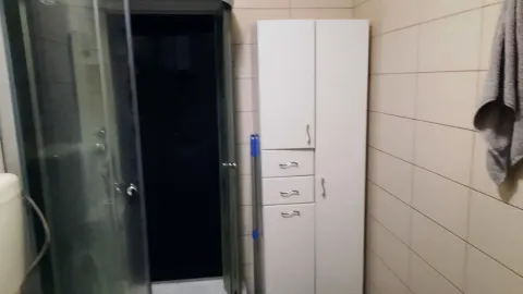 Kupatilo sa tuš kabinom i bijelim ormarićem za odlaganje. - image 6