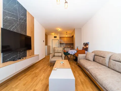 Izdavanje, jednosoban stan, 45m², Stari Aerodrom, Podgorica - image 2