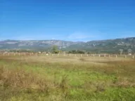 Prodaja, plac, 5661m², Spuž, Danilovgrad - image 3
