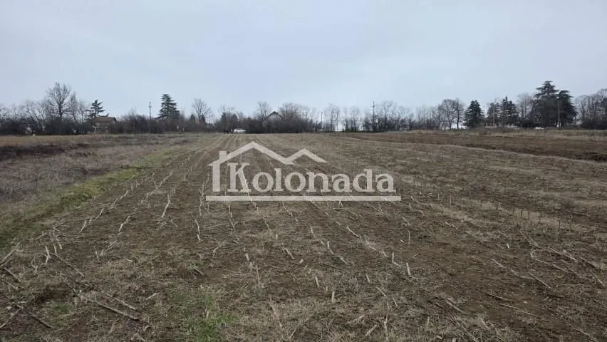 Prodaja, plac, 4000m², Nemenikuće, Sopot