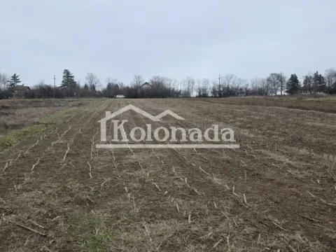 Prodaja, plac, 4000m², Nemenikuće, Sopot - image 4