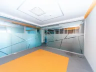 Izdavanje, poslovni prostor, 391m², Preko Morače, Podgorica - image 28